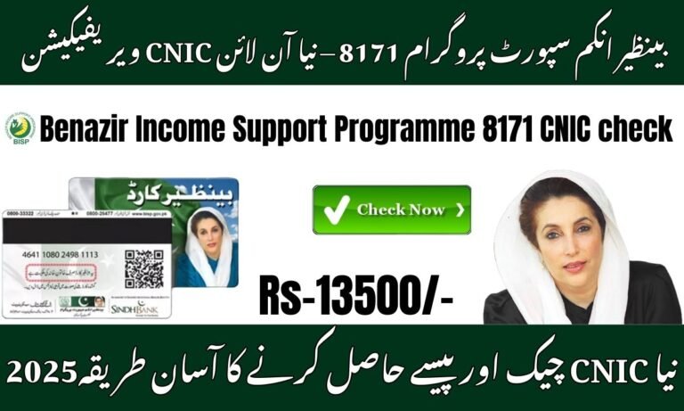 Benazir Income Support Programme 8171 2025