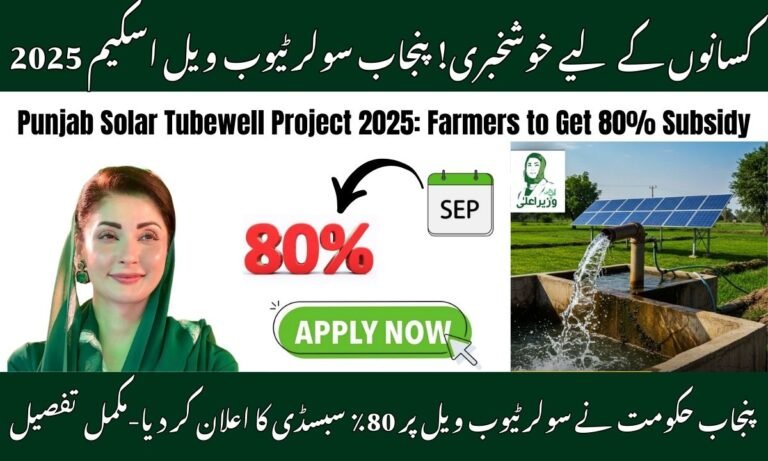 Punjab Solar Tubewell Project 2025 Farmers to Get 80% Subsidy